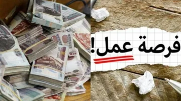 وظائف شاغرة براتب 190000 جنيه تعلنها السفارة الأمريكية عبر موقعها الرسمي